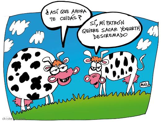 A dieta
