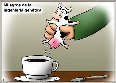 Café con leche