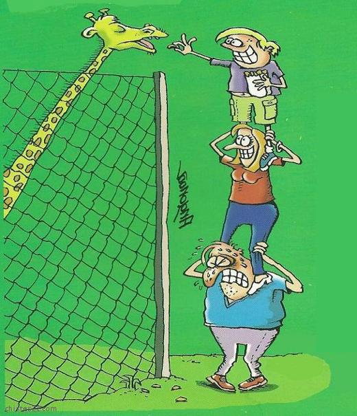 Trabajo en equipo