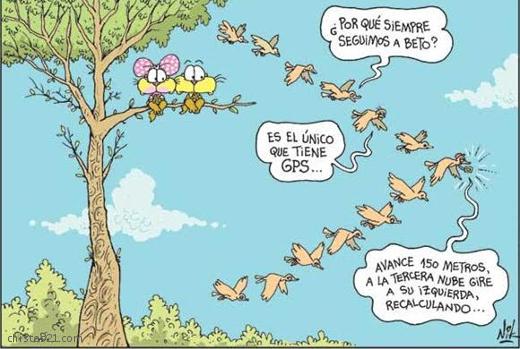 gps