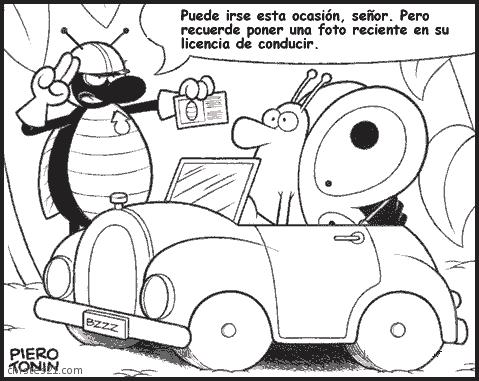 Licencia de conducir
