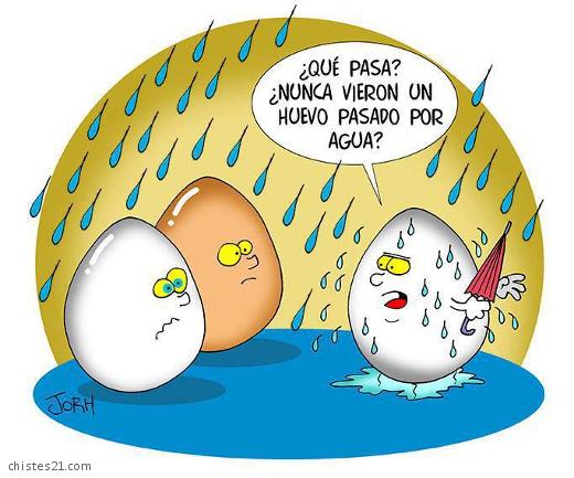 Huevos