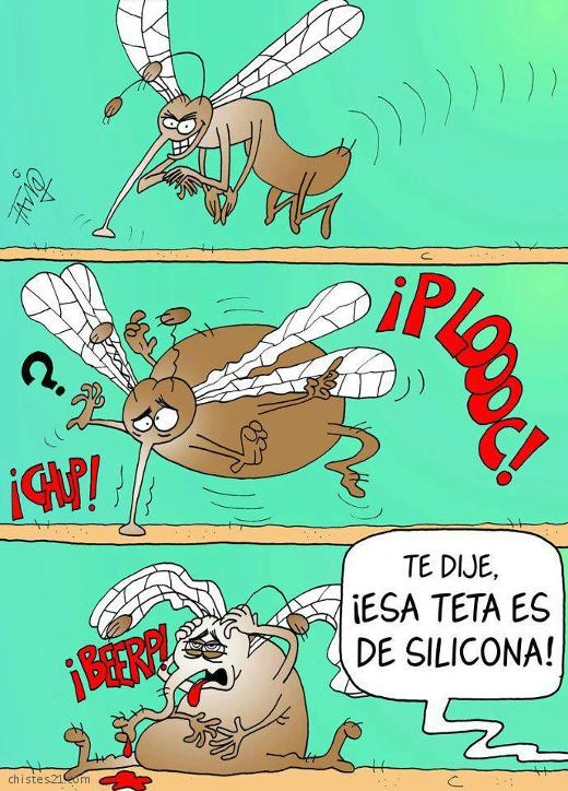 Silicona