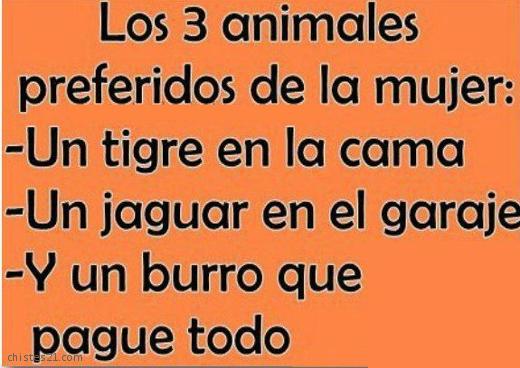 Tres animales
