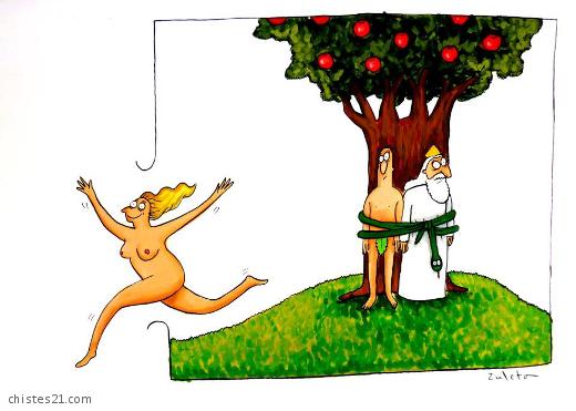 Liberación femenina