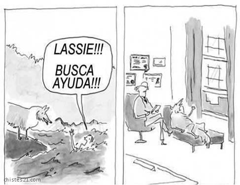 Buscando ayuda