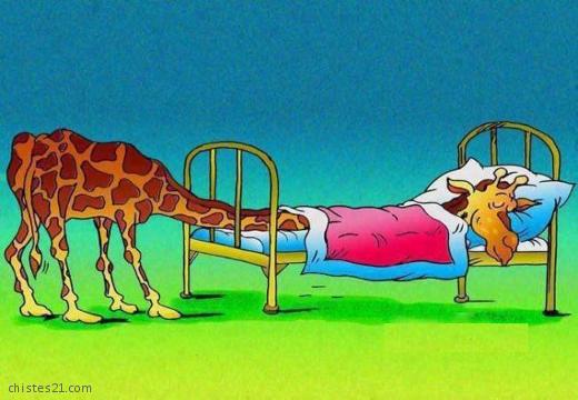 Dulces sueños