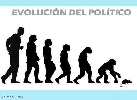 Evolución del político