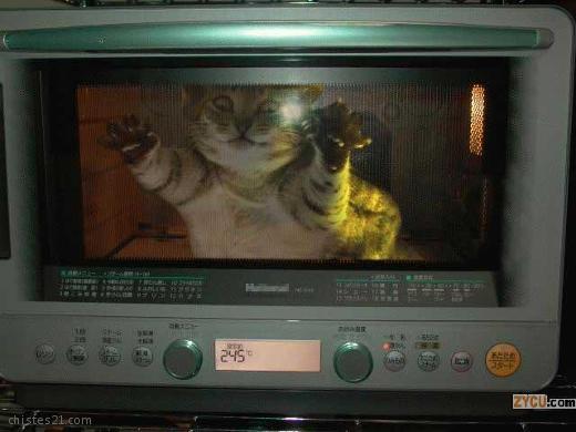 Mama, Mama