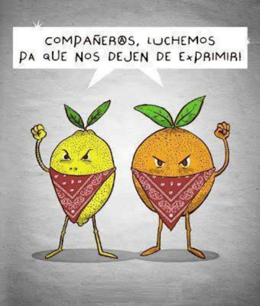 Luchadores