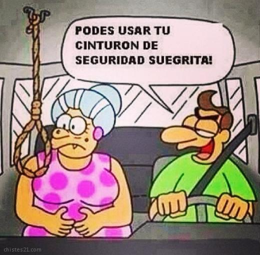 Cinturon de seguridad para suegra