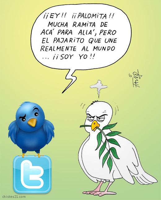 Twitter VS Paloma de la Paz