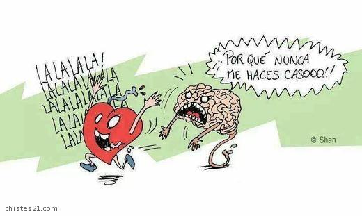 Corazón vs cerebro