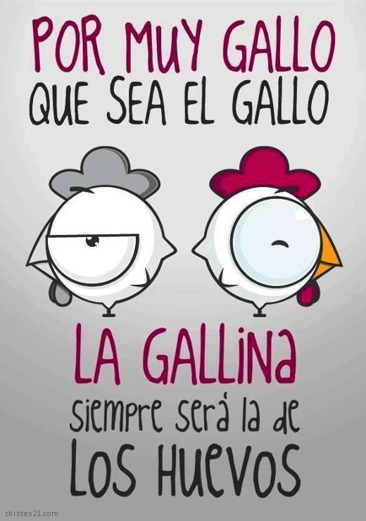 Gallos y gallinas