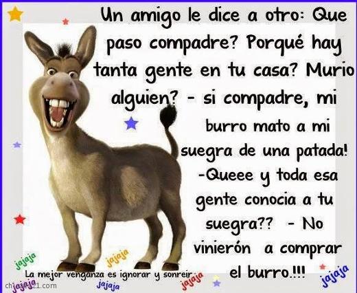 El burro