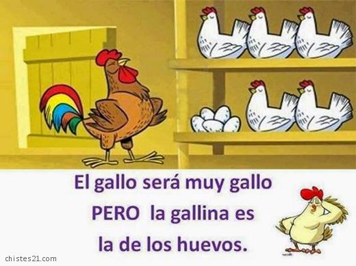 El gallo y la gallina