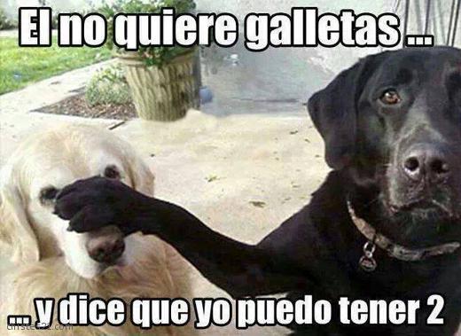 El no quiere galletas ..