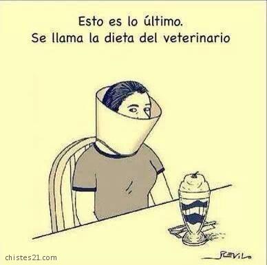 Dieta del veterinario