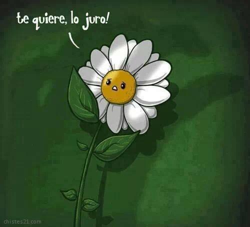 Te quiere!