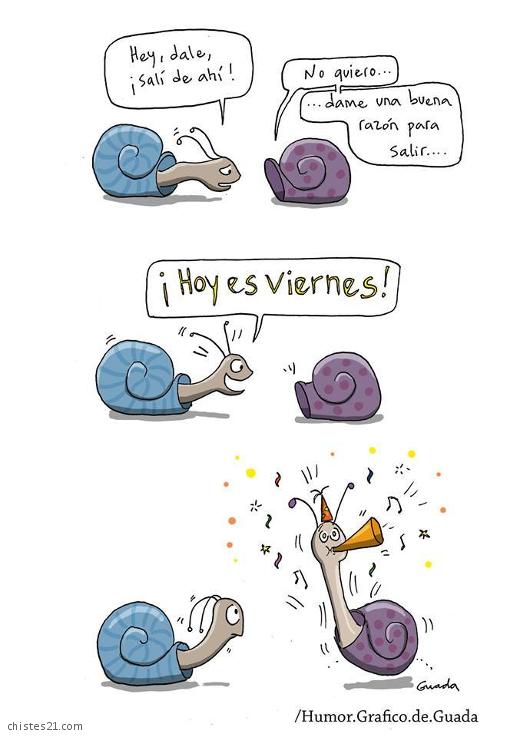 Hoy es Viernes!