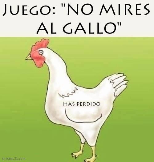 No mires al gallo