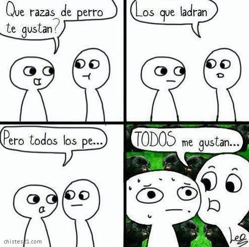 Raza de perros