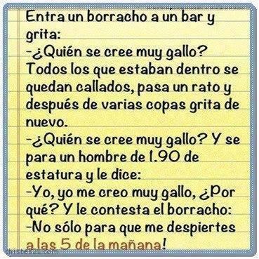 Muy gallo