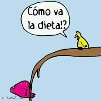 Dieta