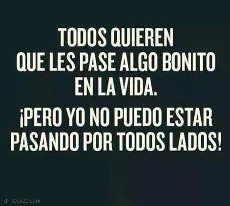 Algo bonito