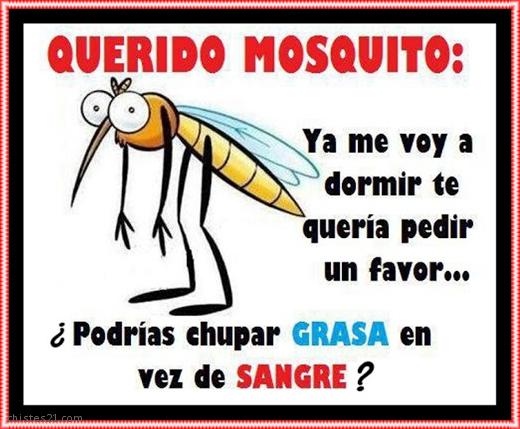 Resultado de imagen de mosquitos chiste