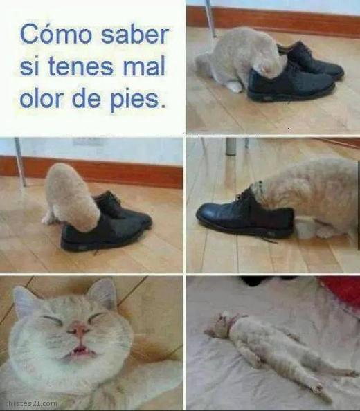 Mal olor de pies