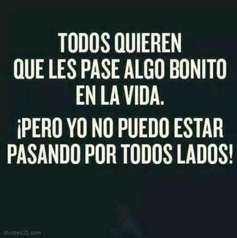 Algo bonito