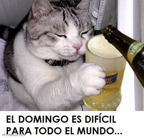 Domingo