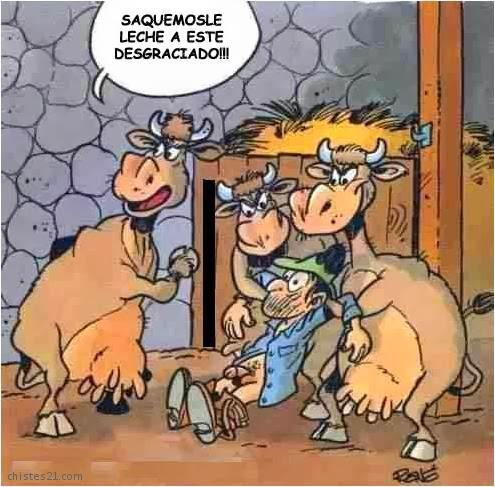 Las vacas y la leche