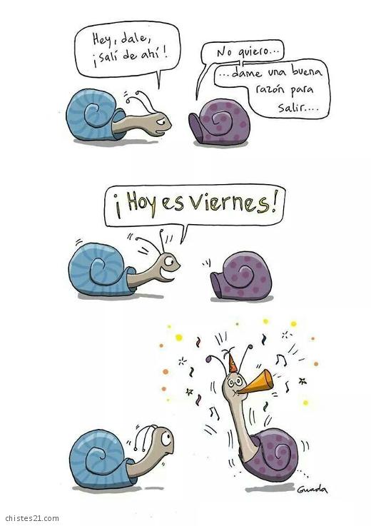 Al fin viernes