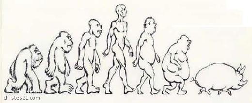 Evolución 