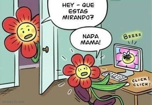 Pornografía floral