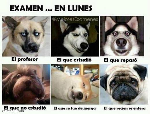 Examen el lunes