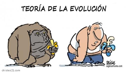 Teoría de la evolución 