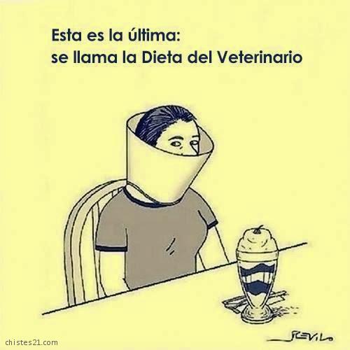 Dieta del veterinario