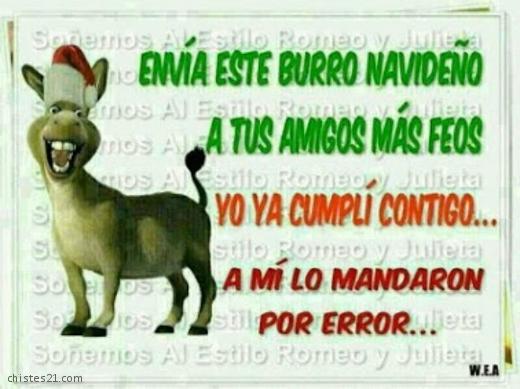 Burro navideño