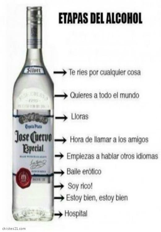 Etapas del alcoho