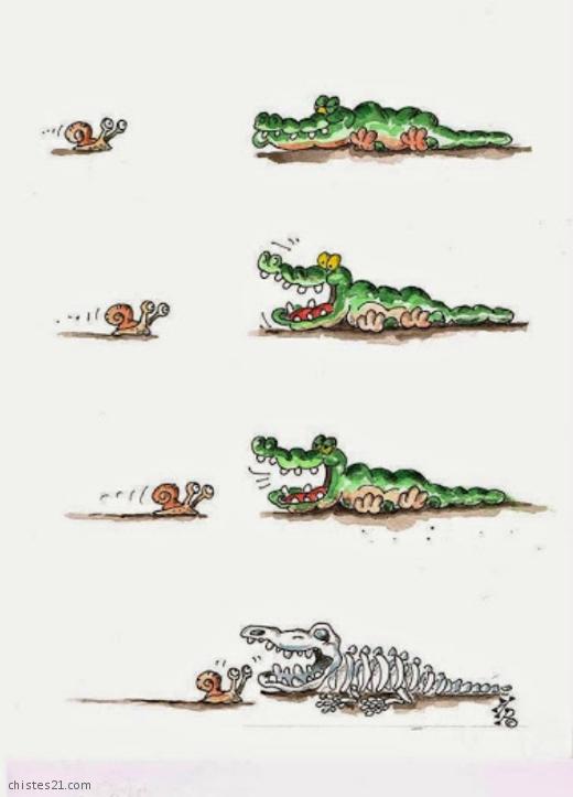 El cocodrilo y el caracol
