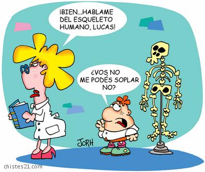 Esqueleto humano