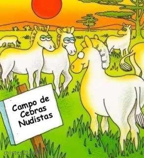 Cebras nudistas