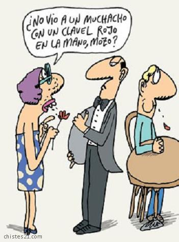 Clavel en la mano