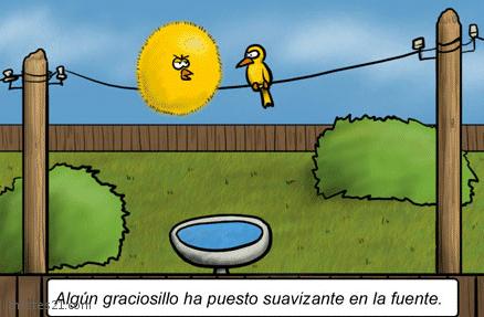 Graciosillo
