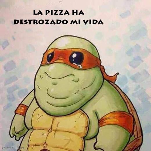 Pobre tortuga