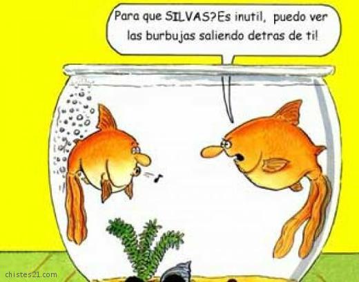 Hay que disimular