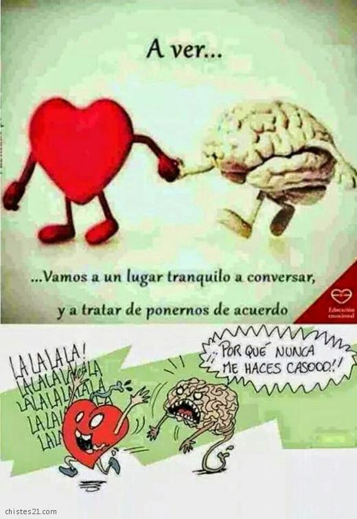 Cerebro y corazón